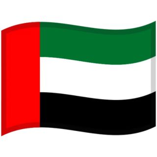 UAE Flag Icon